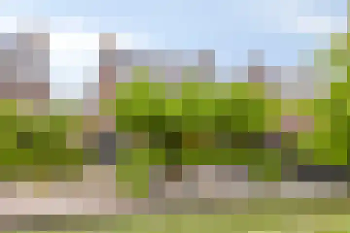 Meester J van Dolderenstraat 14 Kesteren thumbnail 38