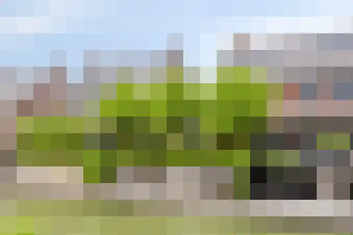 Meester J van Dolderenstraat 14 Kesteren thumbnail 39