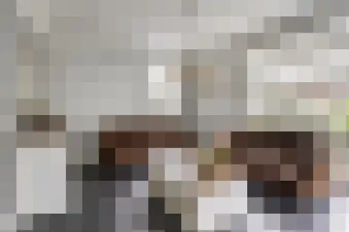 Meester J van Dolderenstraat 14 Kesteren thumbnail 5