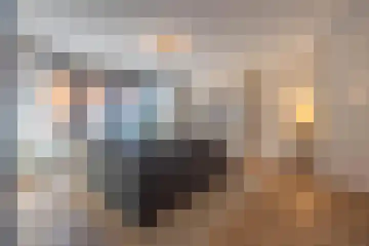 Meester J van Dolderenstraat 19 Kesteren thumbnail 13