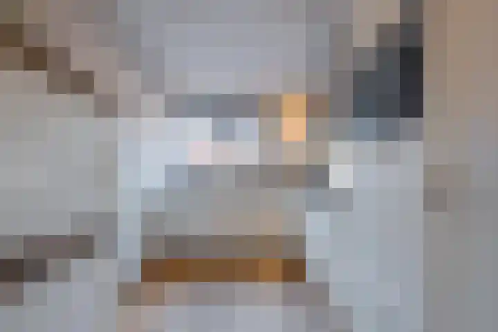 Meester J van Dolderenstraat 19 Kesteren thumbnail 23