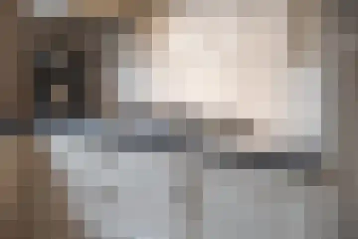 Meester J van Dolderenstraat 19 Kesteren thumbnail 27