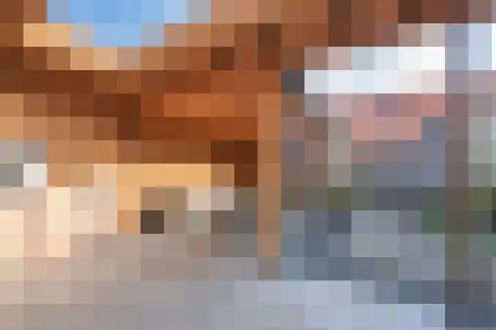 Meester J van Dolderenstraat 19 Kesteren thumbnail 31