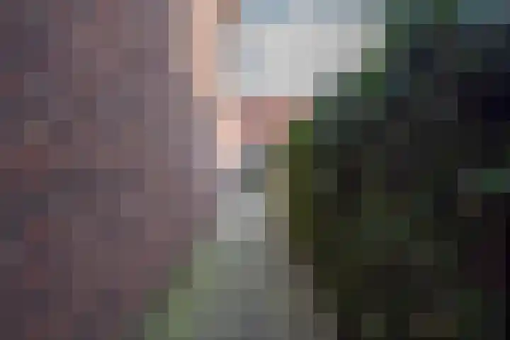 Meester J van Dolderenstraat 19 Kesteren thumbnail 37