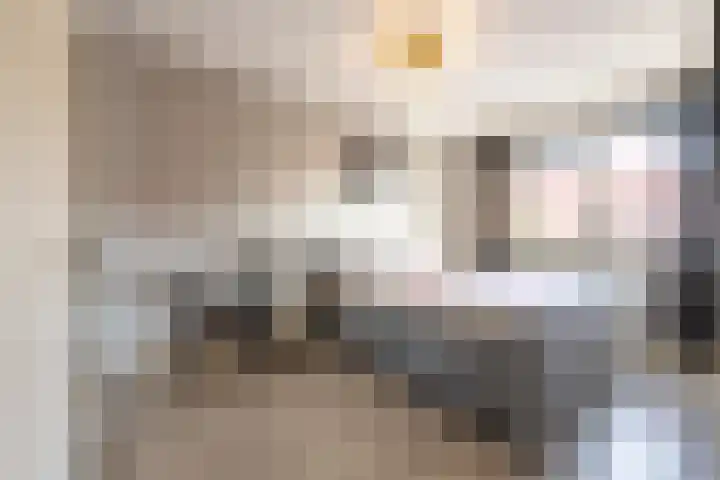 Meester J van Dolderenstraat 19 Kesteren thumbnail 44