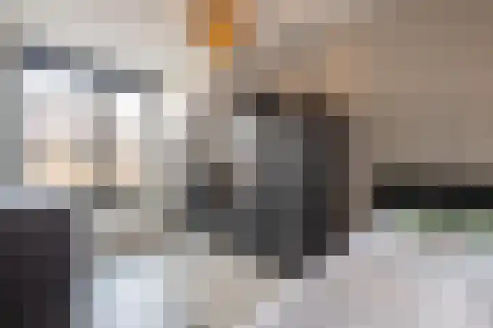 Meester J van Dolderenstraat 19 Kesteren thumbnail 47
