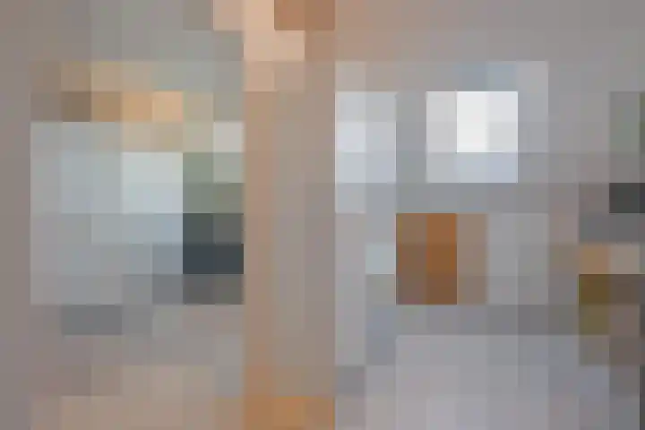 Meester J van Dolderenstraat 19 Kesteren thumbnail 56