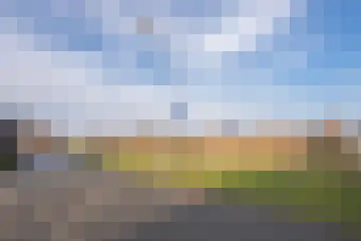 Meester J van Dolderenstraat 19 Kesteren thumbnail 63