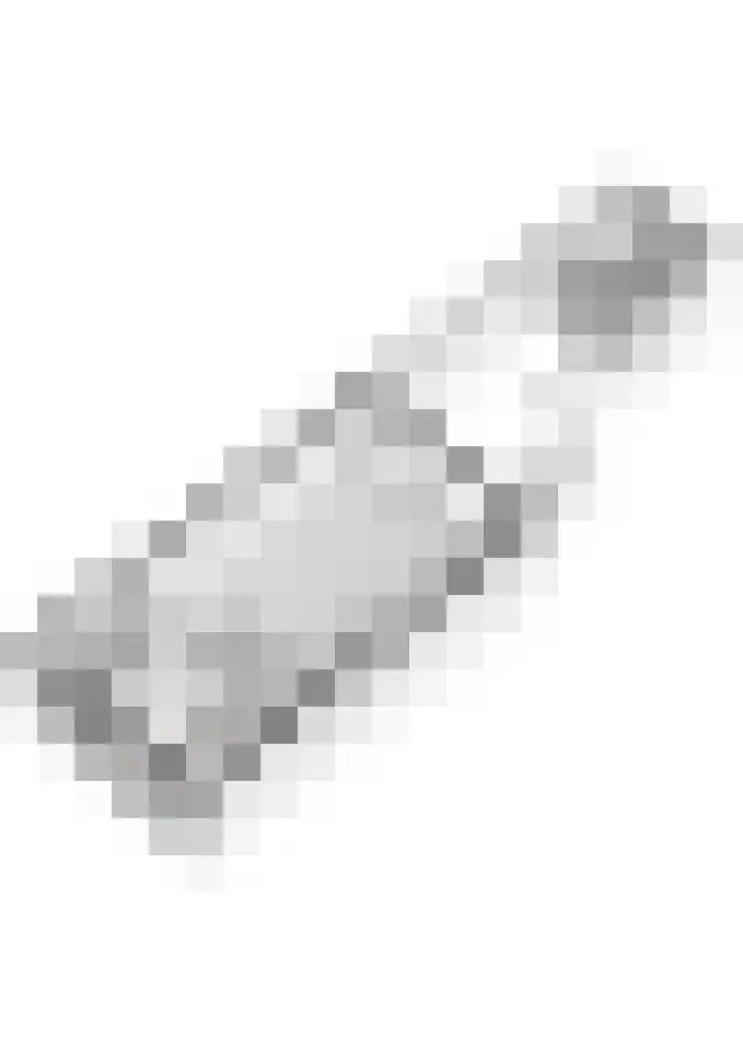 Meester J van Dolderenstraat 19 Kesteren thumbnail 67
