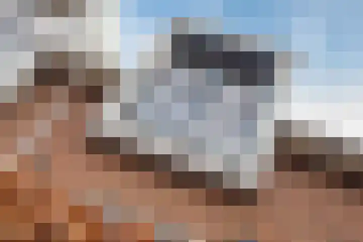 Meester J van Dolderenstraat 19 Kesteren thumbnail 8
