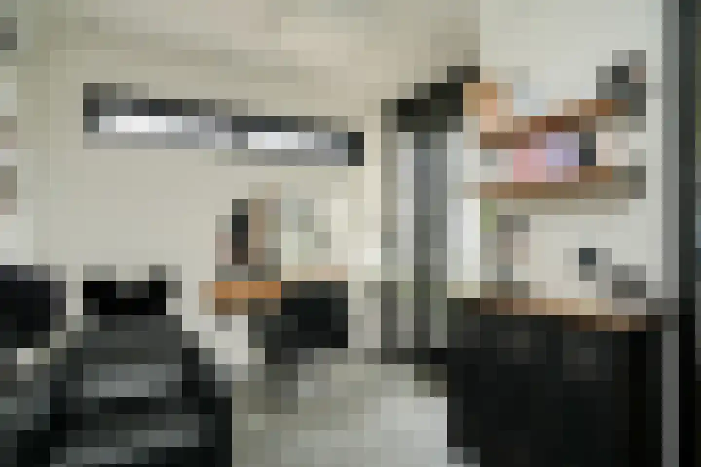 Meester J van Dolderenstraat 2 Kesteren thumbnail 15