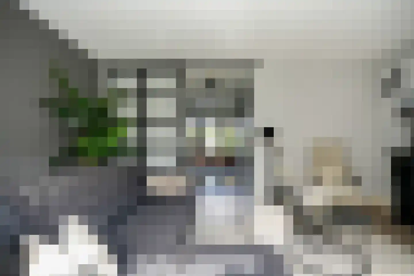 Meester J van Dolderenstraat 2 Kesteren thumbnail 16
