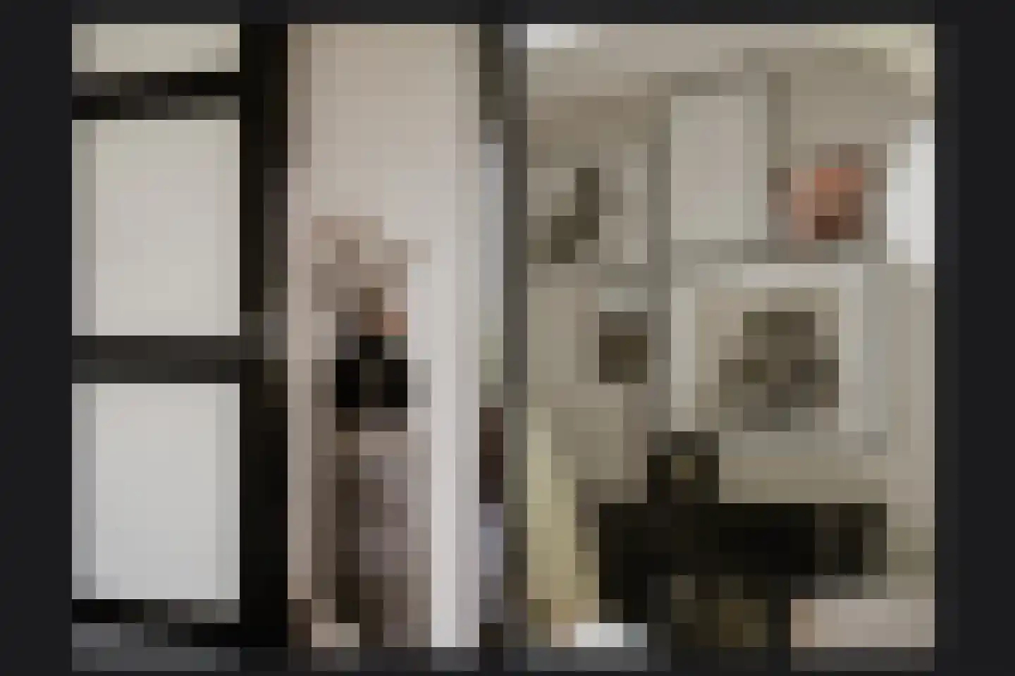 Meester J van Dolderenstraat 2 Kesteren thumbnail 21