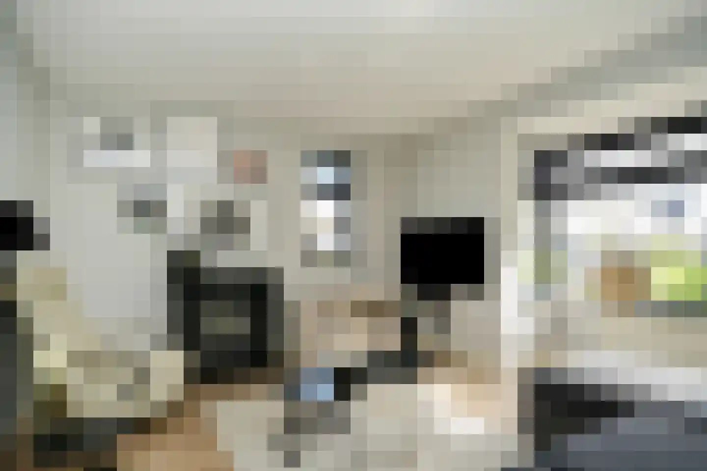 Meester J van Dolderenstraat 2 Kesteren thumbnail 22