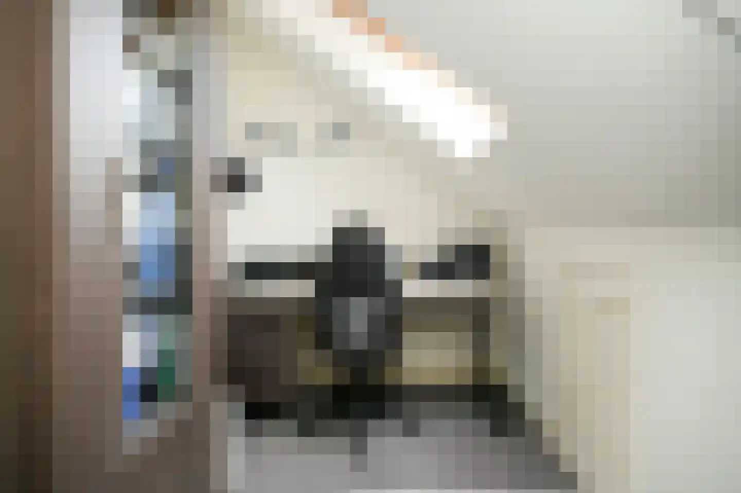 Meester J van Dolderenstraat 2 Kesteren thumbnail 31
