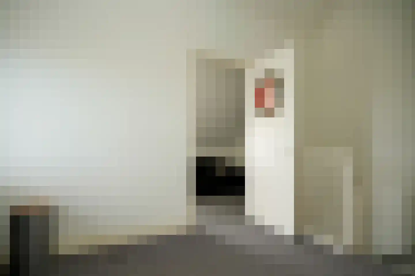 Meester J van Dolderenstraat 2 Kesteren thumbnail 32