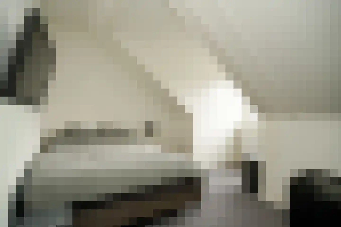 Meester J van Dolderenstraat 2 Kesteren thumbnail 33
