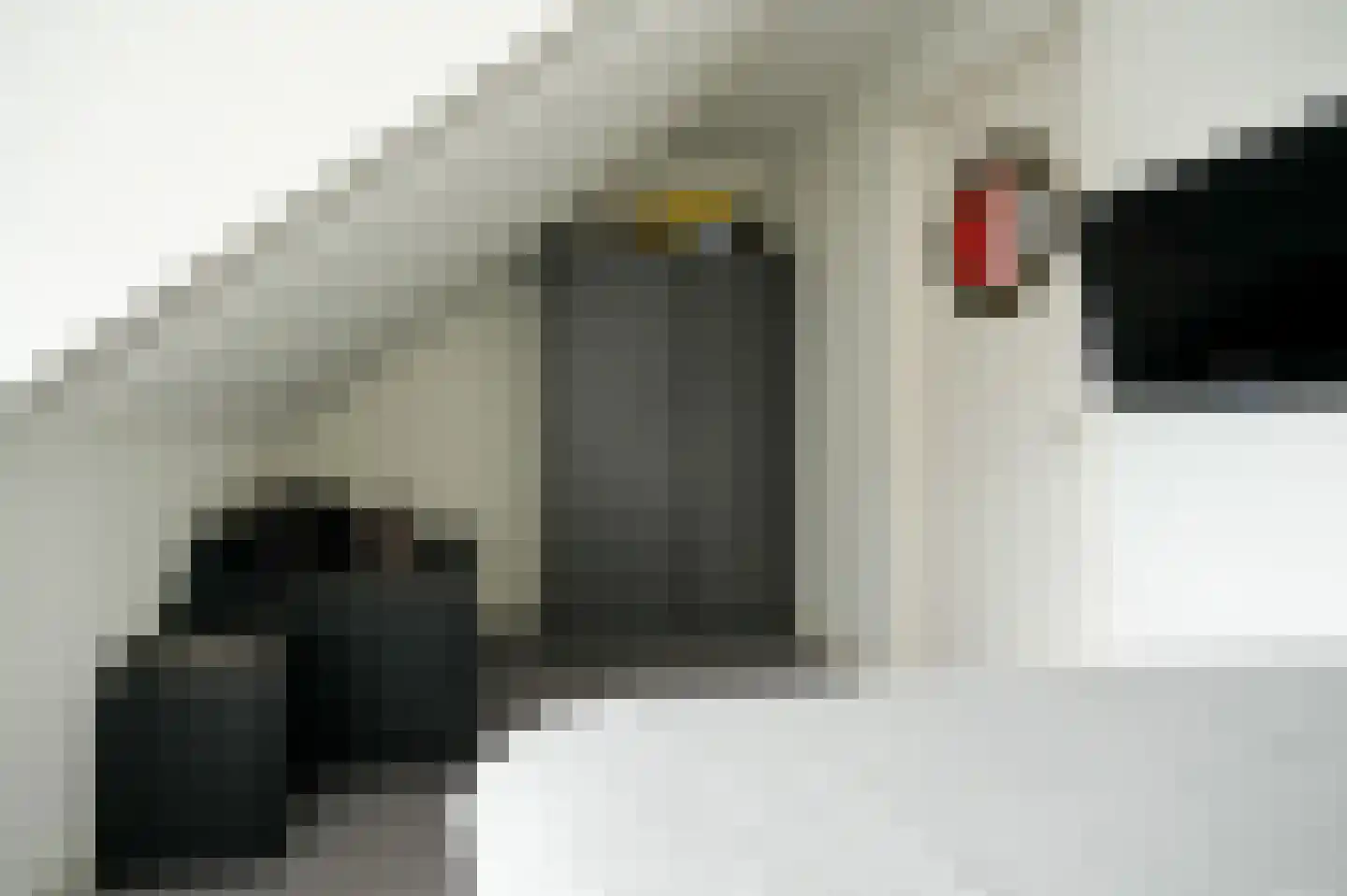 Meester J van Dolderenstraat 2 Kesteren thumbnail 34