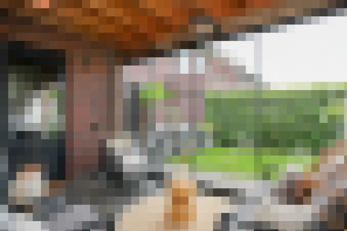 Meester J van Dolderenstraat 2 Kesteren thumbnail 35