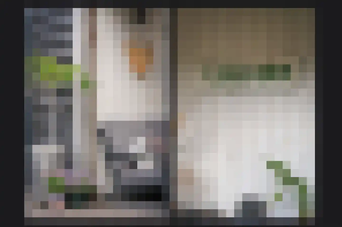 Meester J van Dolderenstraat 2 Kesteren thumbnail 38