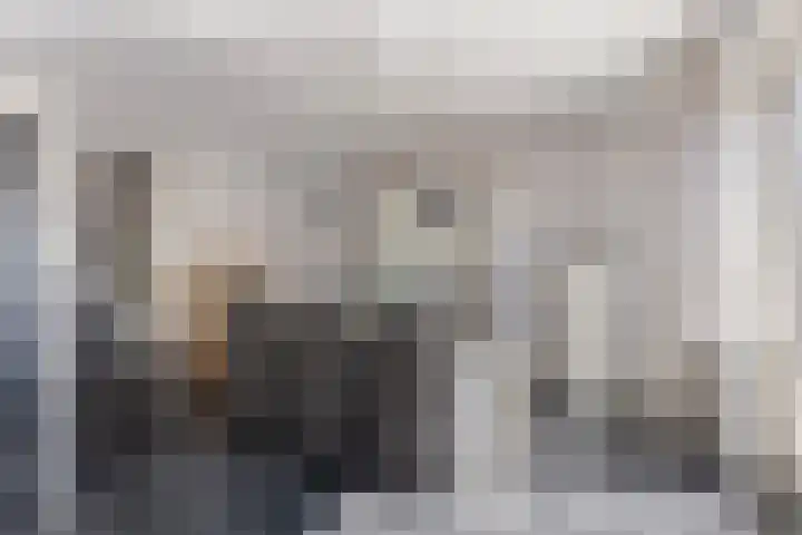 Meester J van Dolderenstraat 22 Kesteren thumbnail 10