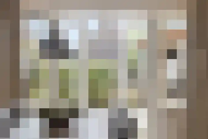 Meester J van Dolderenstraat 22 Kesteren thumbnail 15