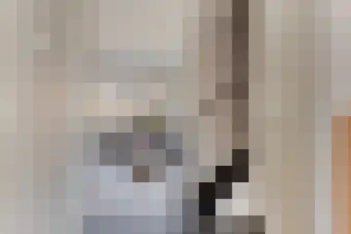 Meester J van Dolderenstraat 22 Kesteren thumbnail 17