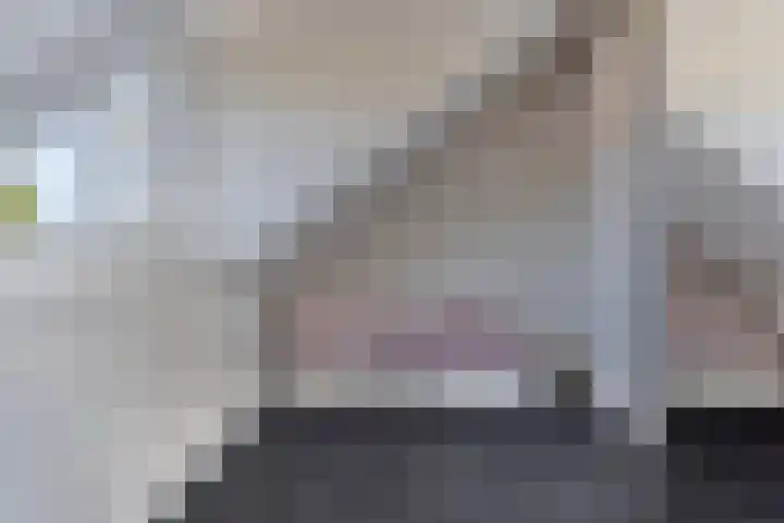 Meester J van Dolderenstraat 22 Kesteren thumbnail 33