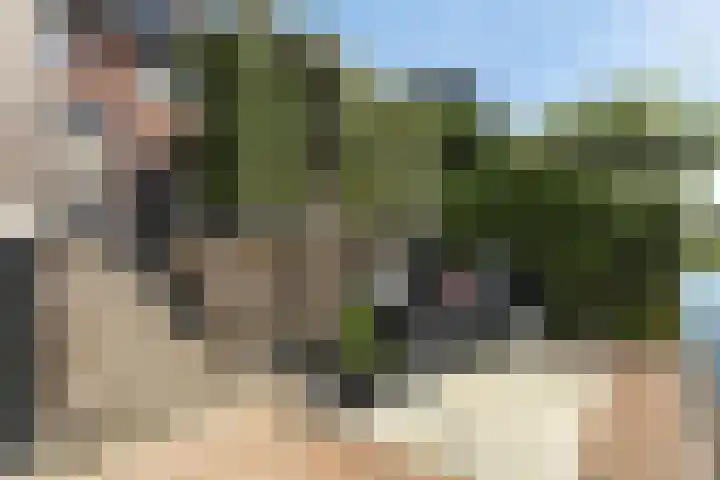 Meester J van Dolderenstraat 22 Kesteren thumbnail 35