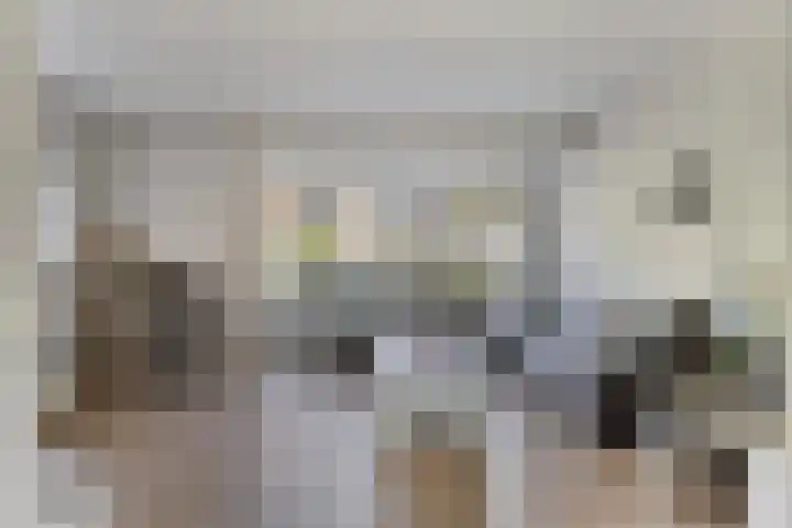 Meester J van Dolderenstraat 22 Kesteren thumbnail 4