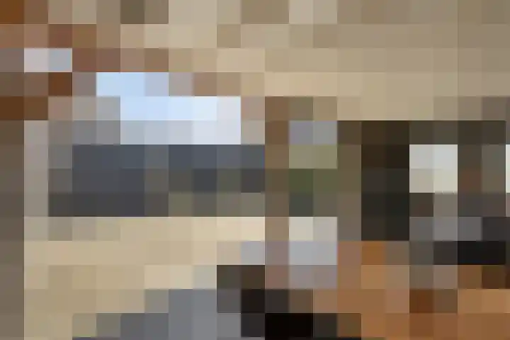 Meester J van Dolderenstraat 22 Kesteren thumbnail 41