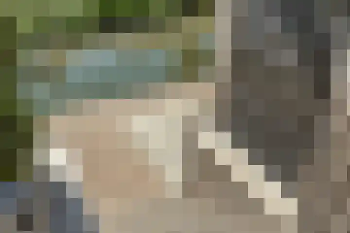 Meester J van Dolderenstraat 22 Kesteren thumbnail 42