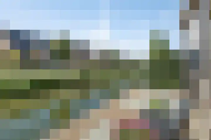 Meester J van Dolderenstraat 22 Kesteren thumbnail 44