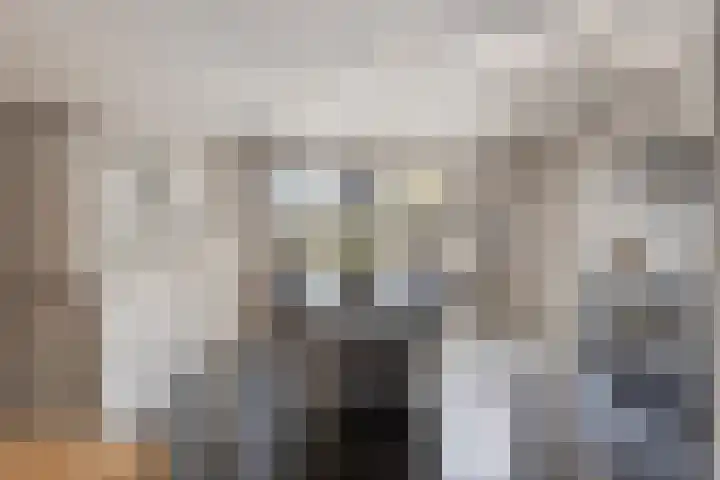 Meester J van Dolderenstraat 22 Kesteren thumbnail 5