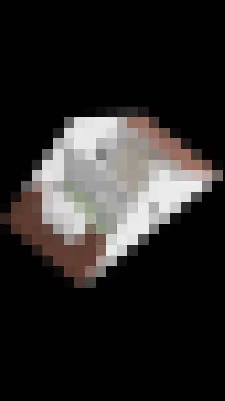 Meester J van Dolderenstraat 22 Kesteren thumbnail 53