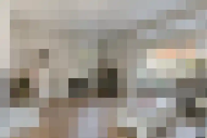 Meester J van Dolderenstraat 22 Kesteren thumbnail 6