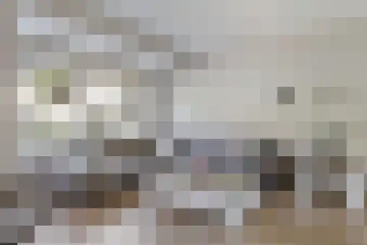Meester J van Dolderenstraat 22 Kesteren thumbnail 7