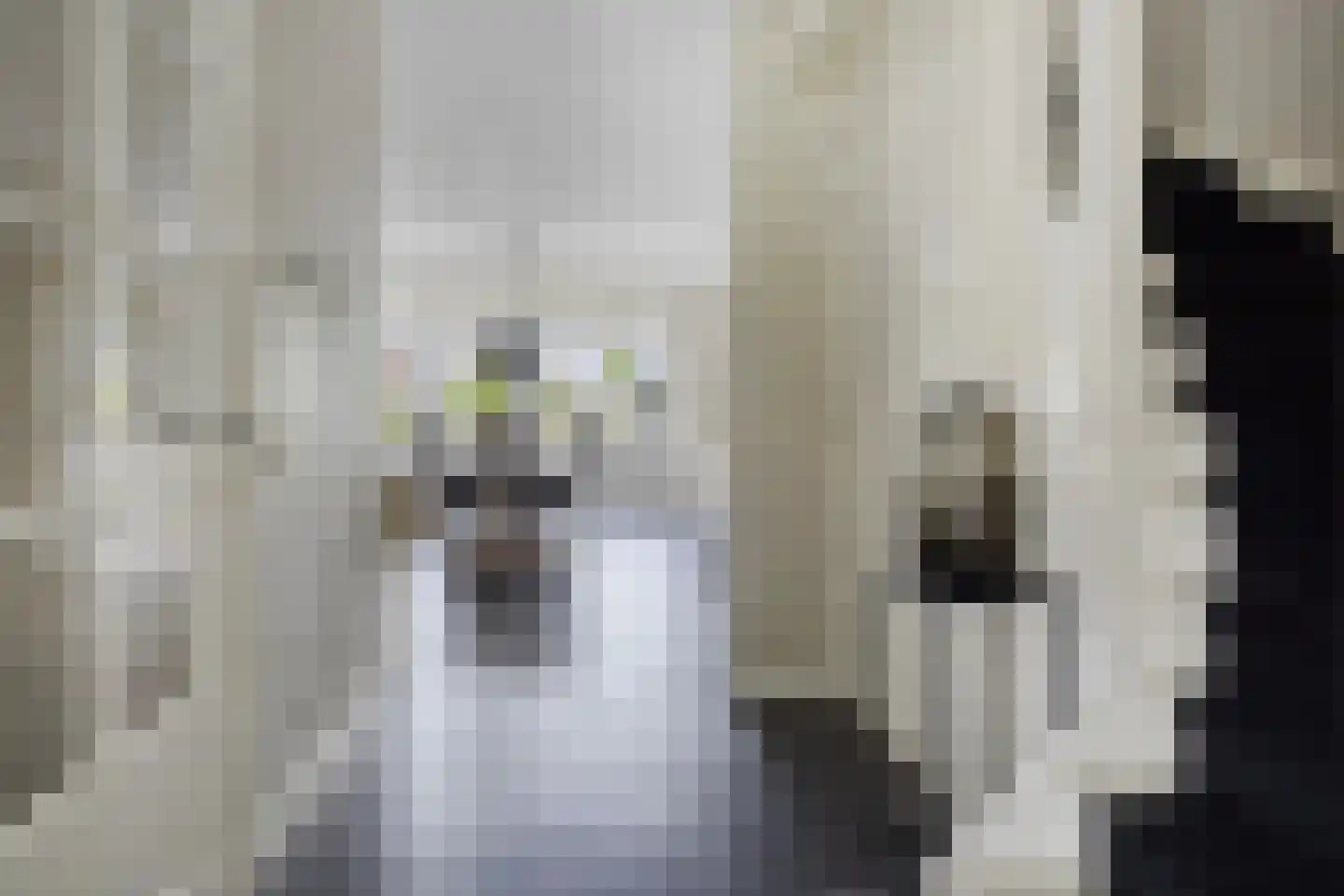 Meester J van Dolderenstraat 4 Kesteren thumbnail 10