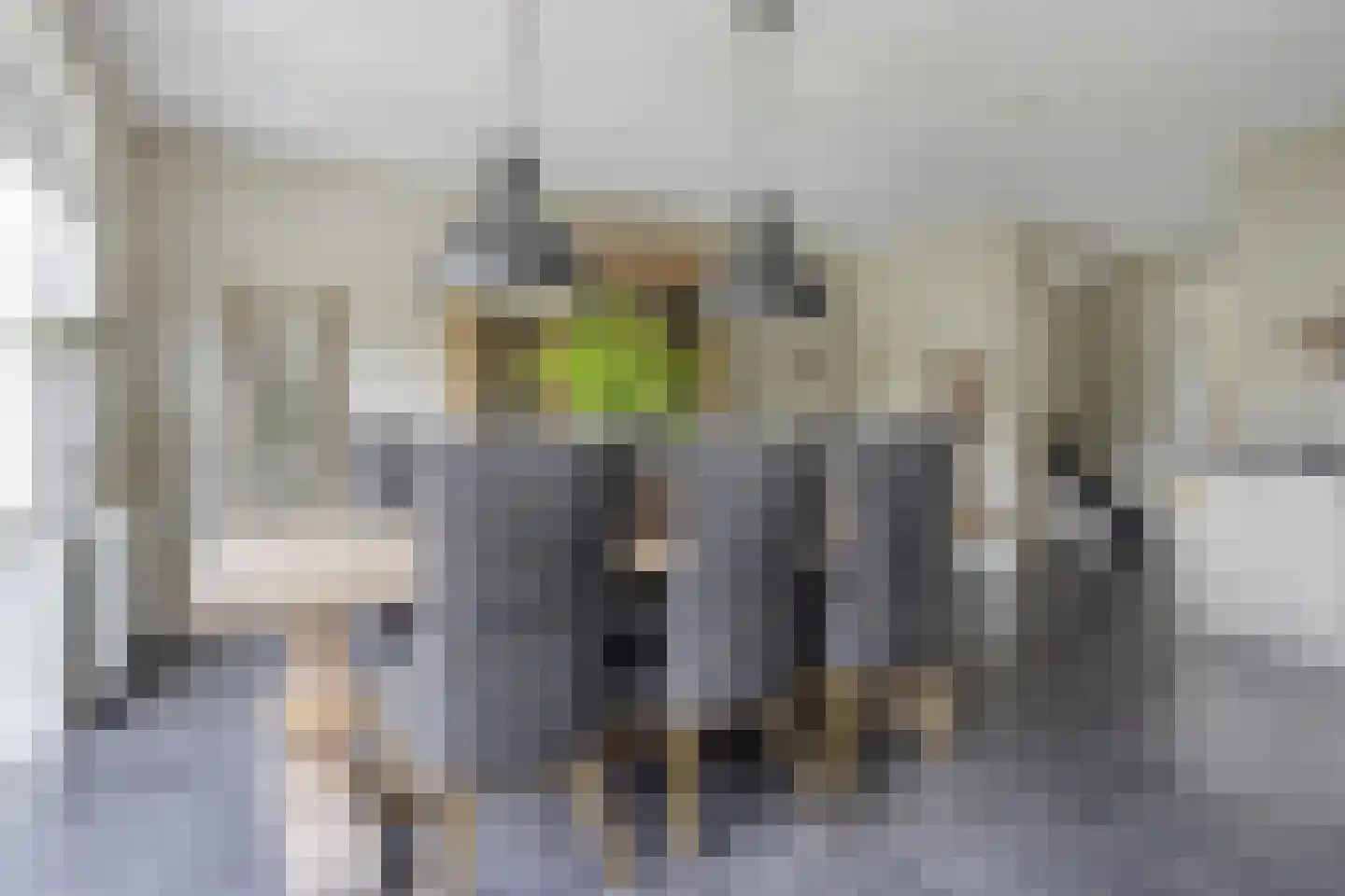 Meester J van Dolderenstraat 4 Kesteren thumbnail 11