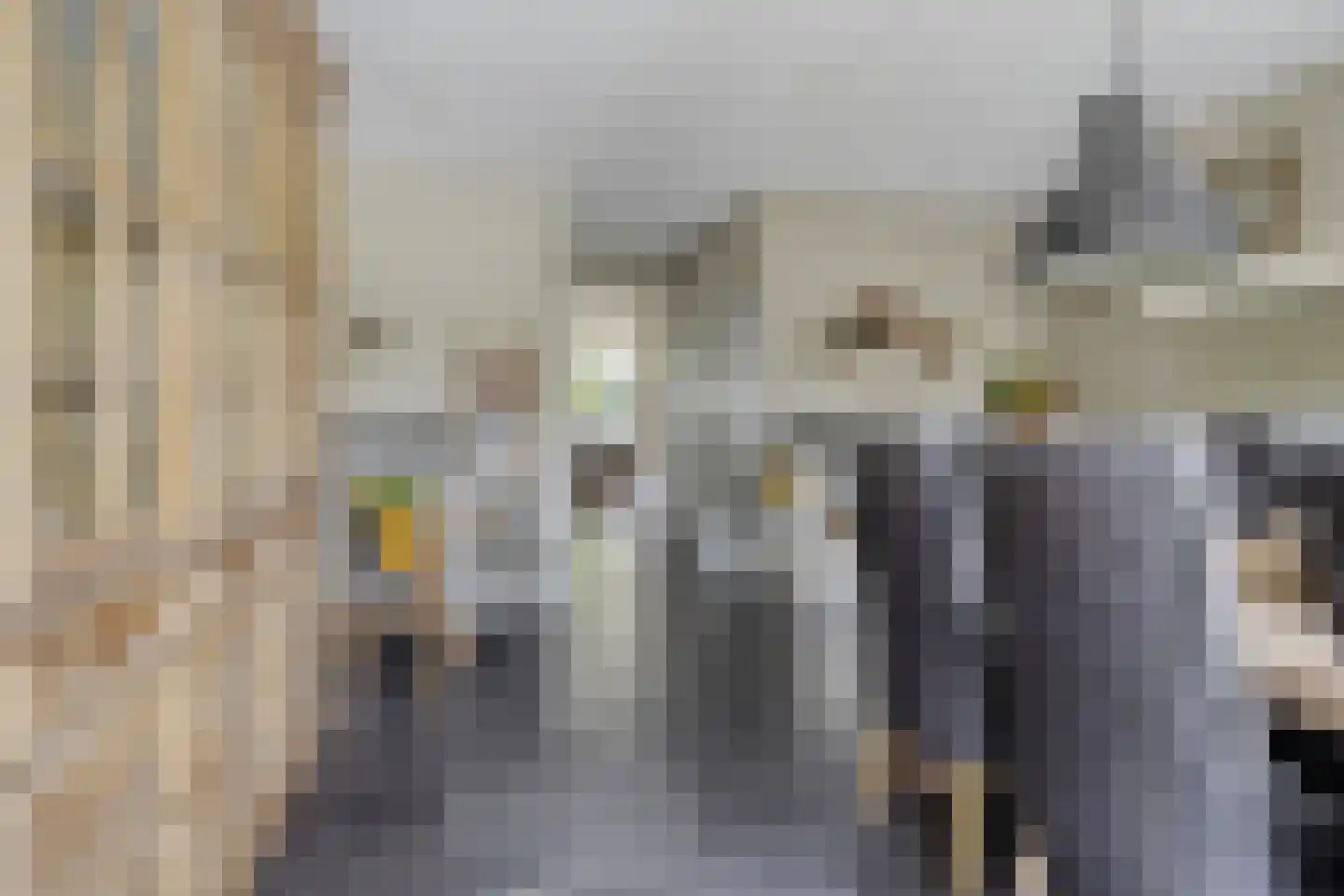 Meester J van Dolderenstraat 4 Kesteren thumbnail 16