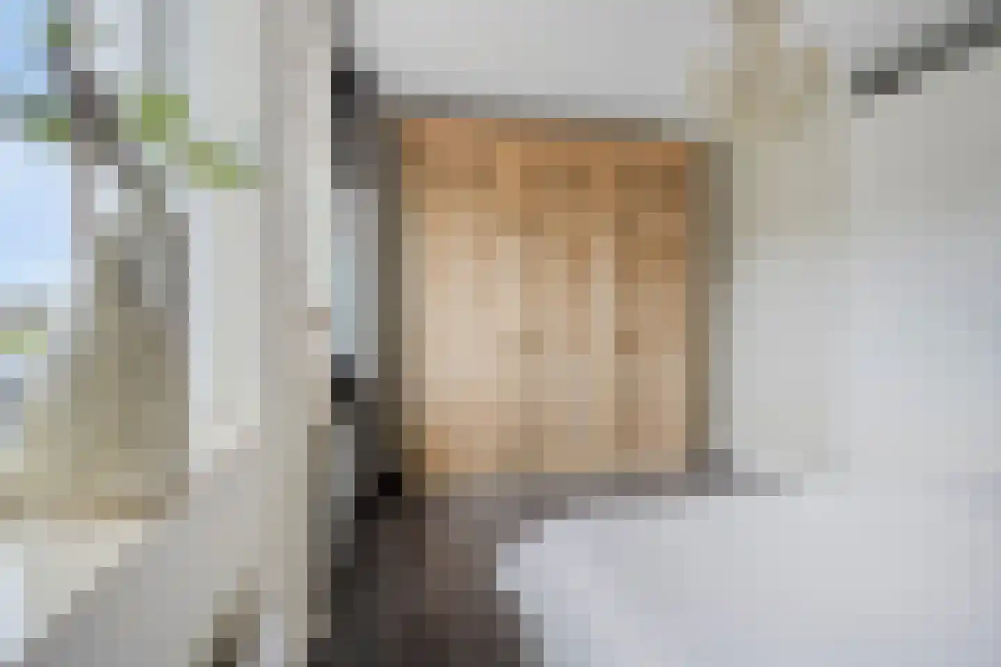 Meester J van Dolderenstraat 4 Kesteren thumbnail 22