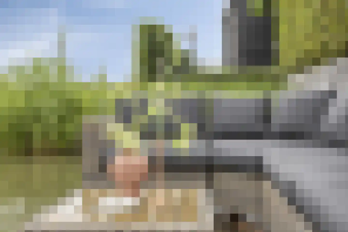 Meester J van Dolderenstraat 4 Kesteren thumbnail 36