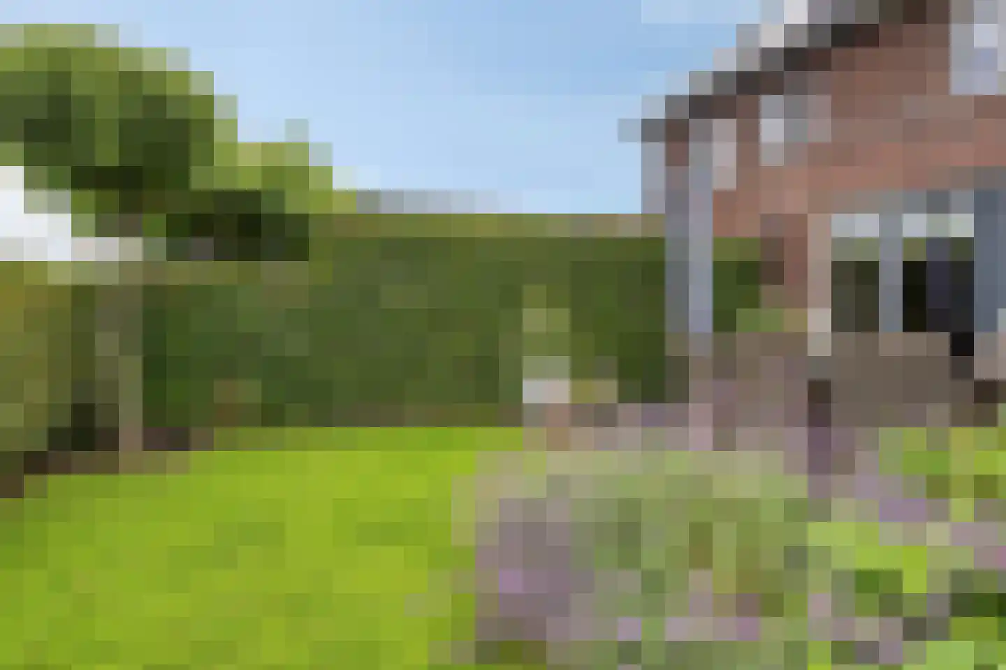 Meester J van Dolderenstraat 4 Kesteren thumbnail 38