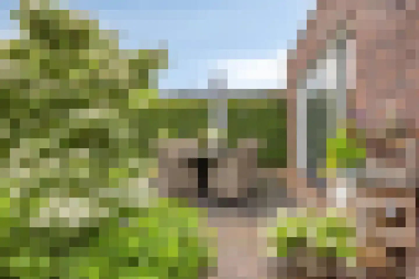 Meester J van Dolderenstraat 4 Kesteren thumbnail 39