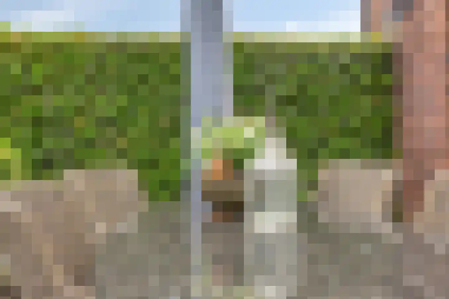 Meester J van Dolderenstraat 4 Kesteren thumbnail 41