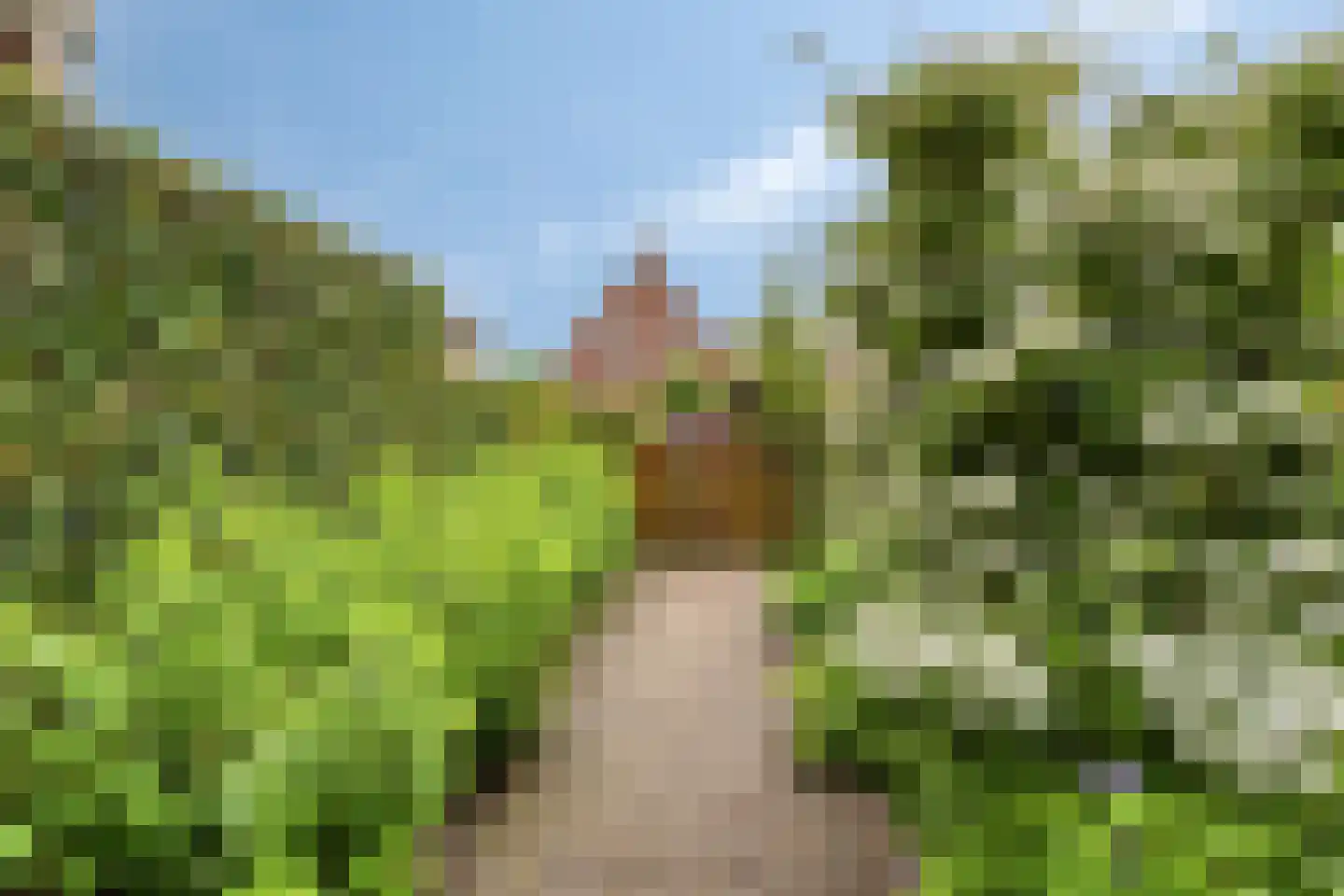 Meester J van Dolderenstraat 4 Kesteren thumbnail 42