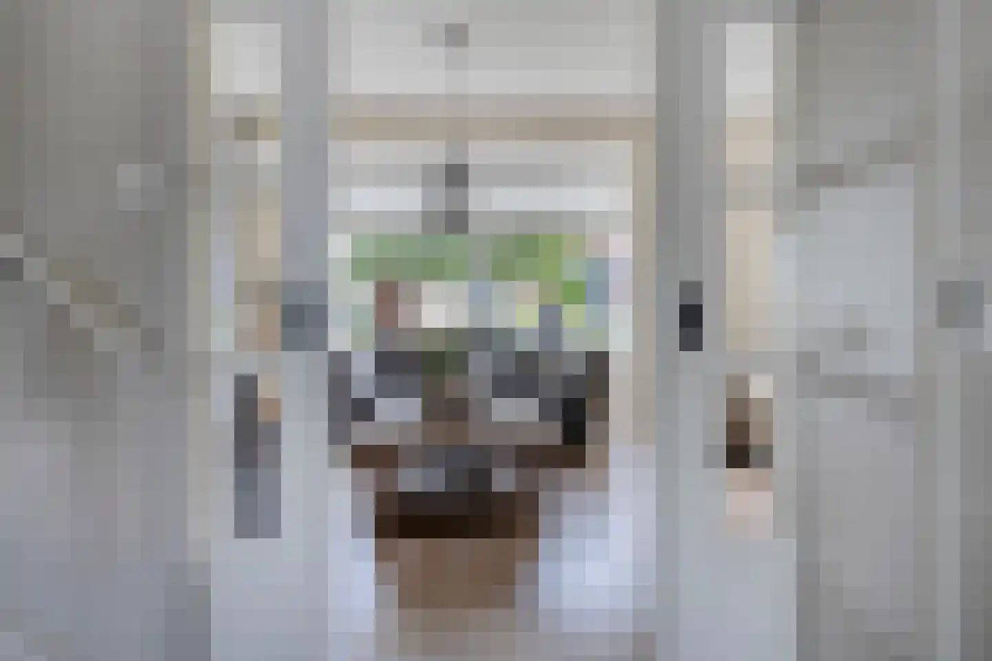 Meester J van Dolderenstraat 4 Kesteren thumbnail 5