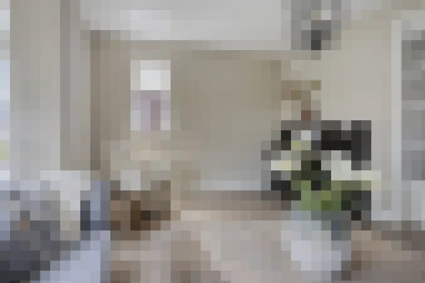 Meester J van Dolderenstraat 4 Kesteren thumbnail 7