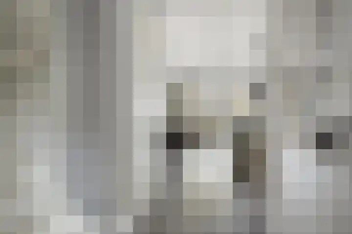 Meester J van Dolderenstraat 6 Kesteren thumbnail 10
