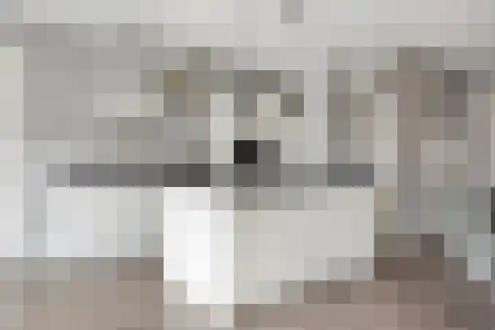 Meester J van Dolderenstraat 6 Kesteren thumbnail 12